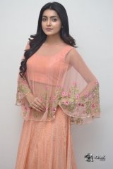 Avantika Mishra At Vaishakham Movie Success meet